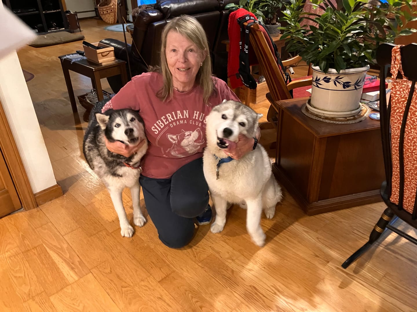Customer photo review of Siberian Husky Drama Club Premium Tee
