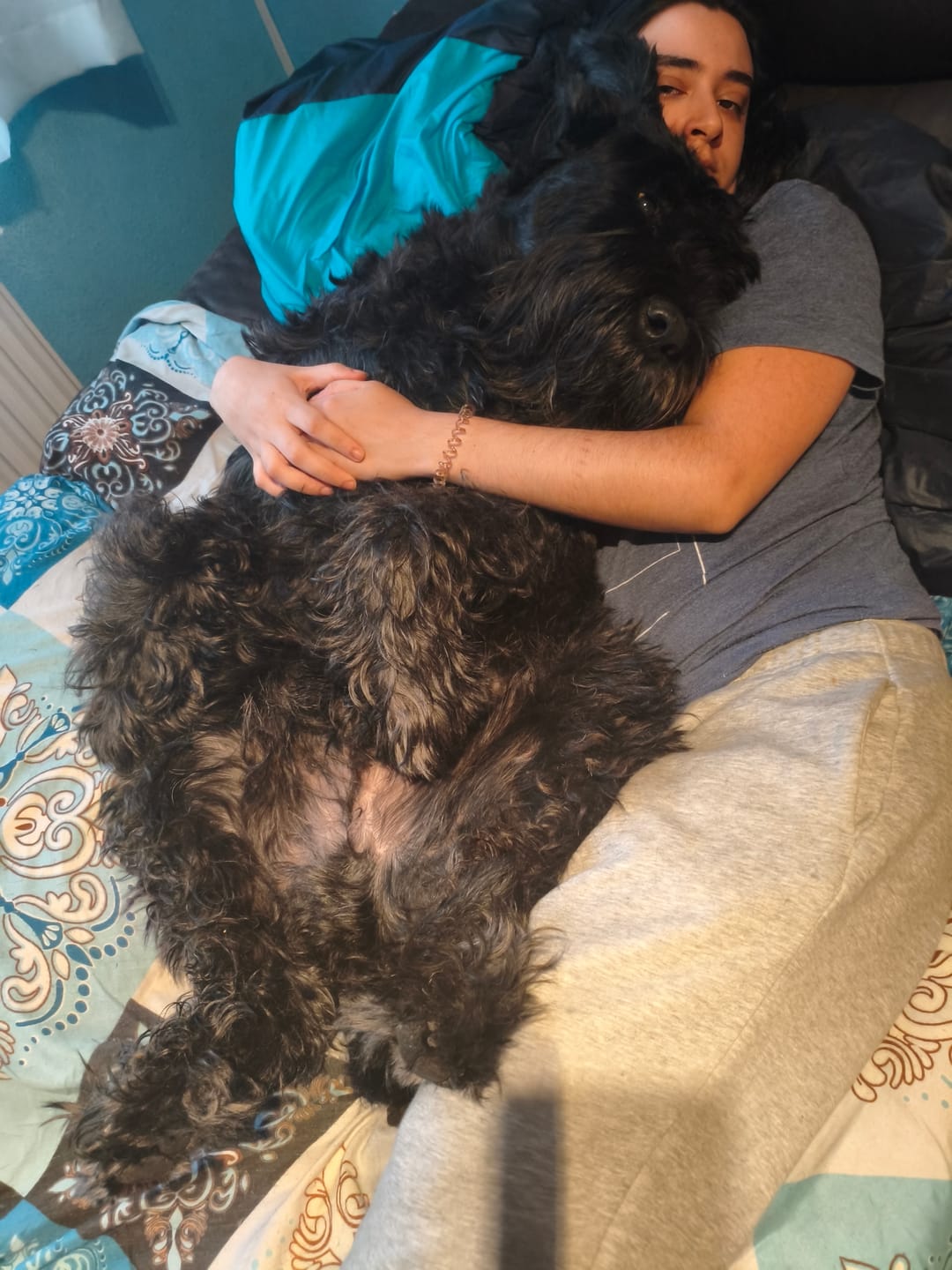 Customer photo review of Grain Free Adult Duck & Rabbit