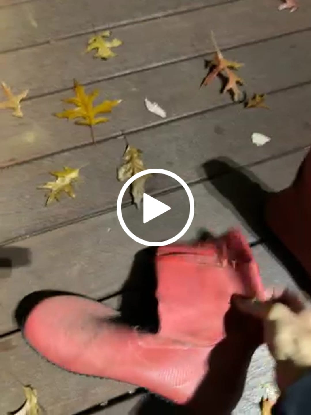 Customer video review of Brisk Ⅰ - Barefoot Rain Boots