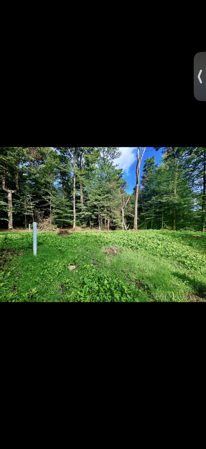 Customer photo review of Hybrid Chestnut