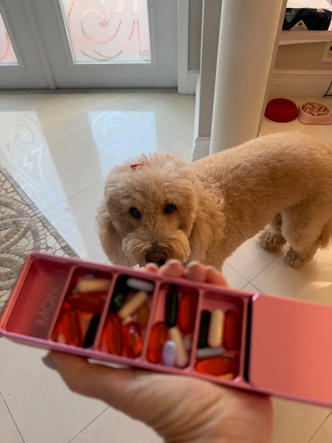 Customer photo review of Weekly Case