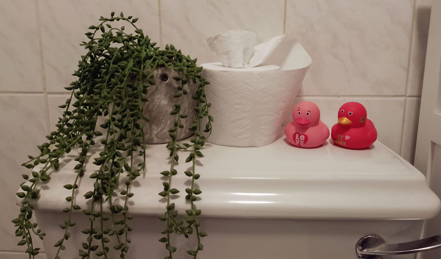 Customer photo review of 100% Recycled Toilet Paper
