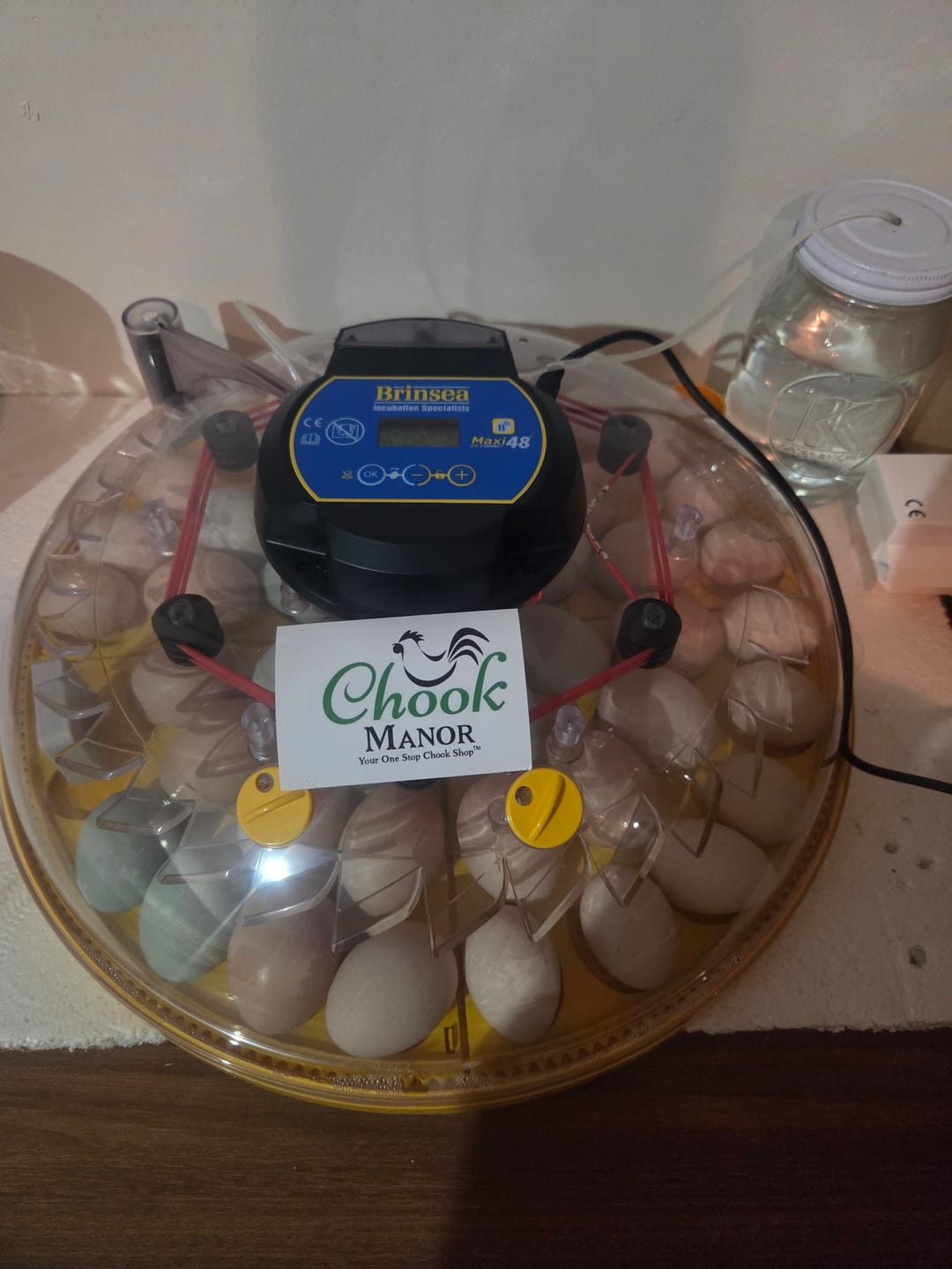 Customer photo review of Brinsea  NEW Maxi 48 EX Connect Incubator (Fully Automatic)
