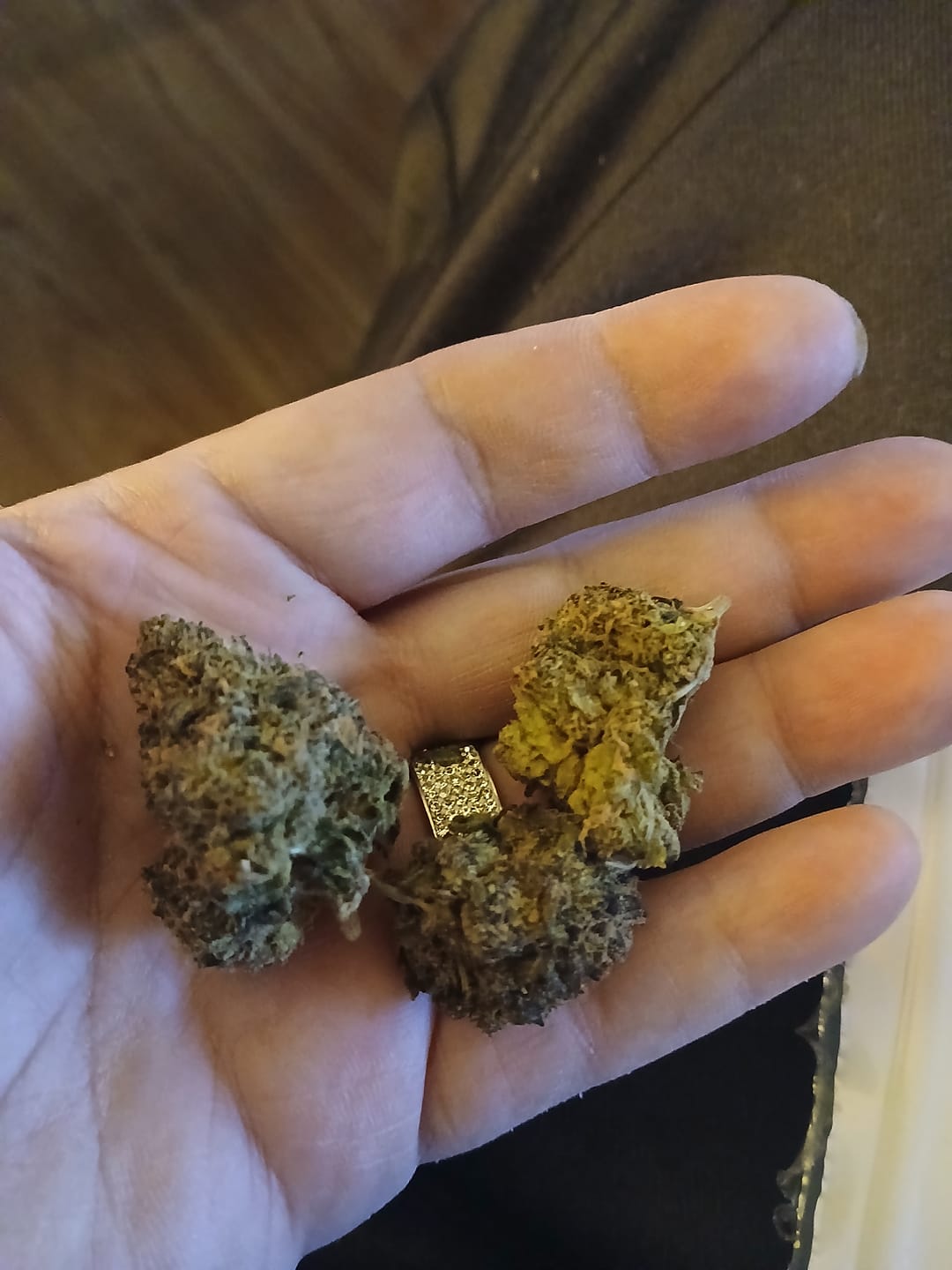 Customer photo review of Purple Push Pop -THCa Flower