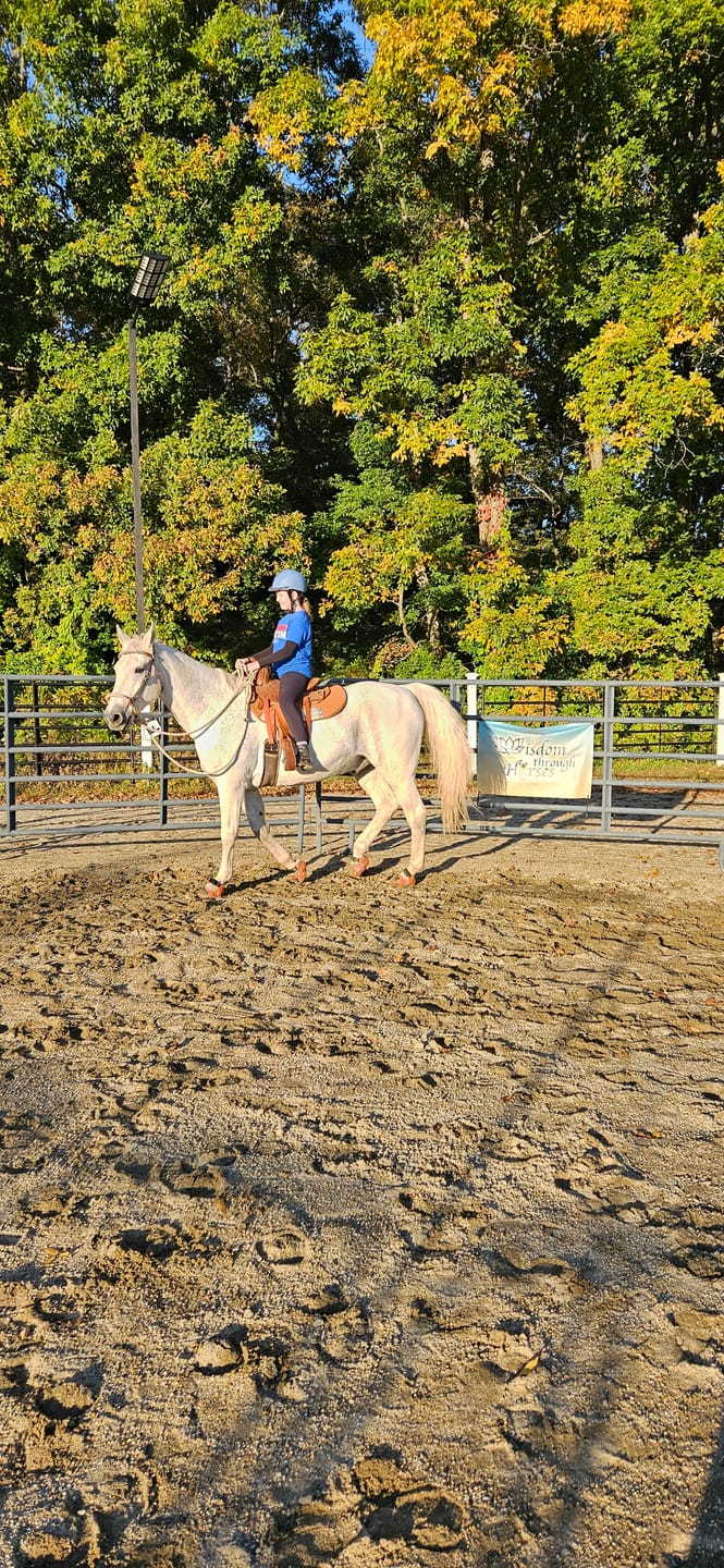 Customer photo review of Renegade® Viper Shield™ Hoof Boot - Cosmic Orange