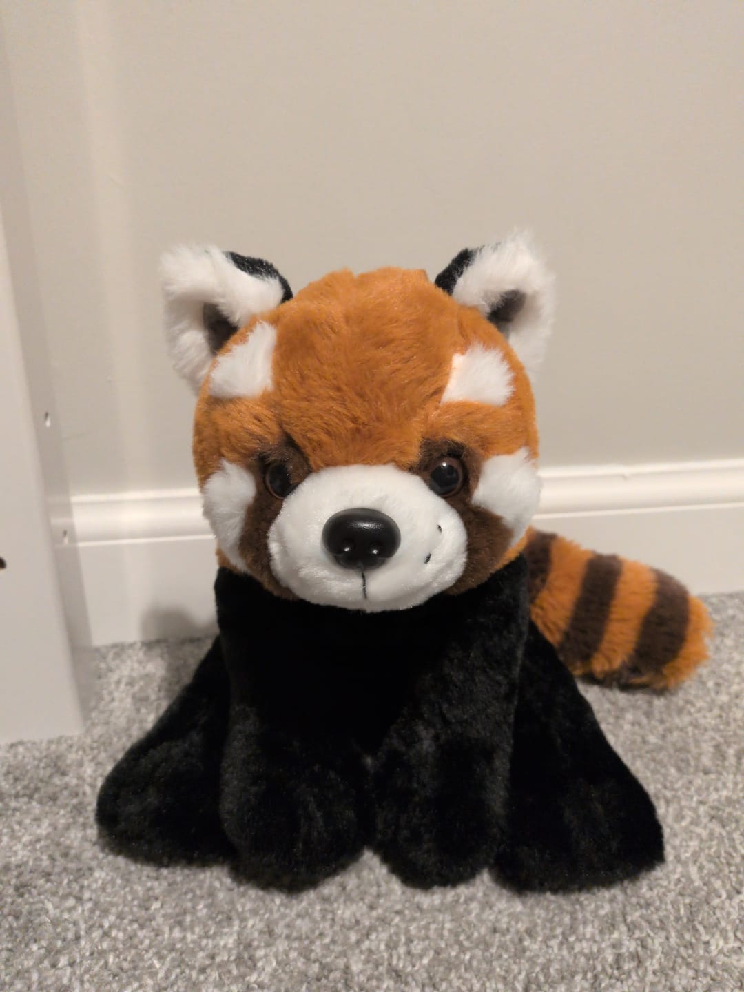 Customer photo review of The Dash Plush