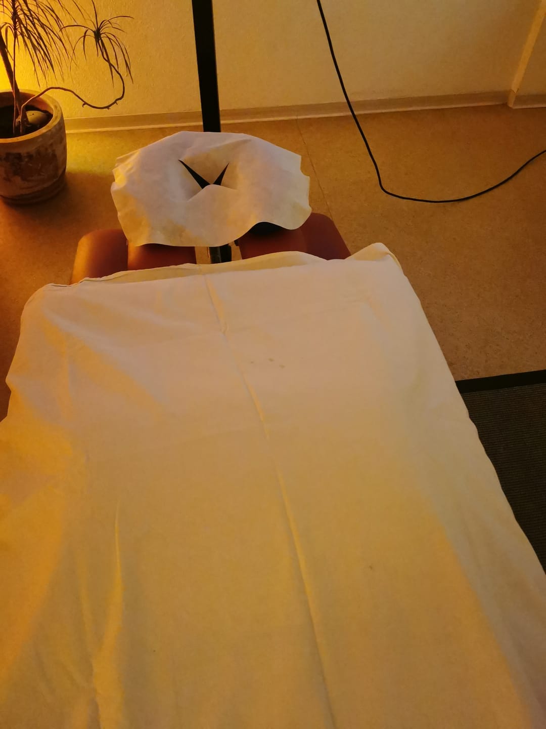 Customer photo review of Einwegauflagen Nasenschlitztücher mit X-Ausschnitt für die Therapieliege