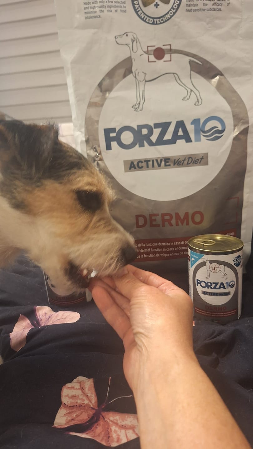 Customer photo review of Active VetDiet Dermo mitrā barība suņiem