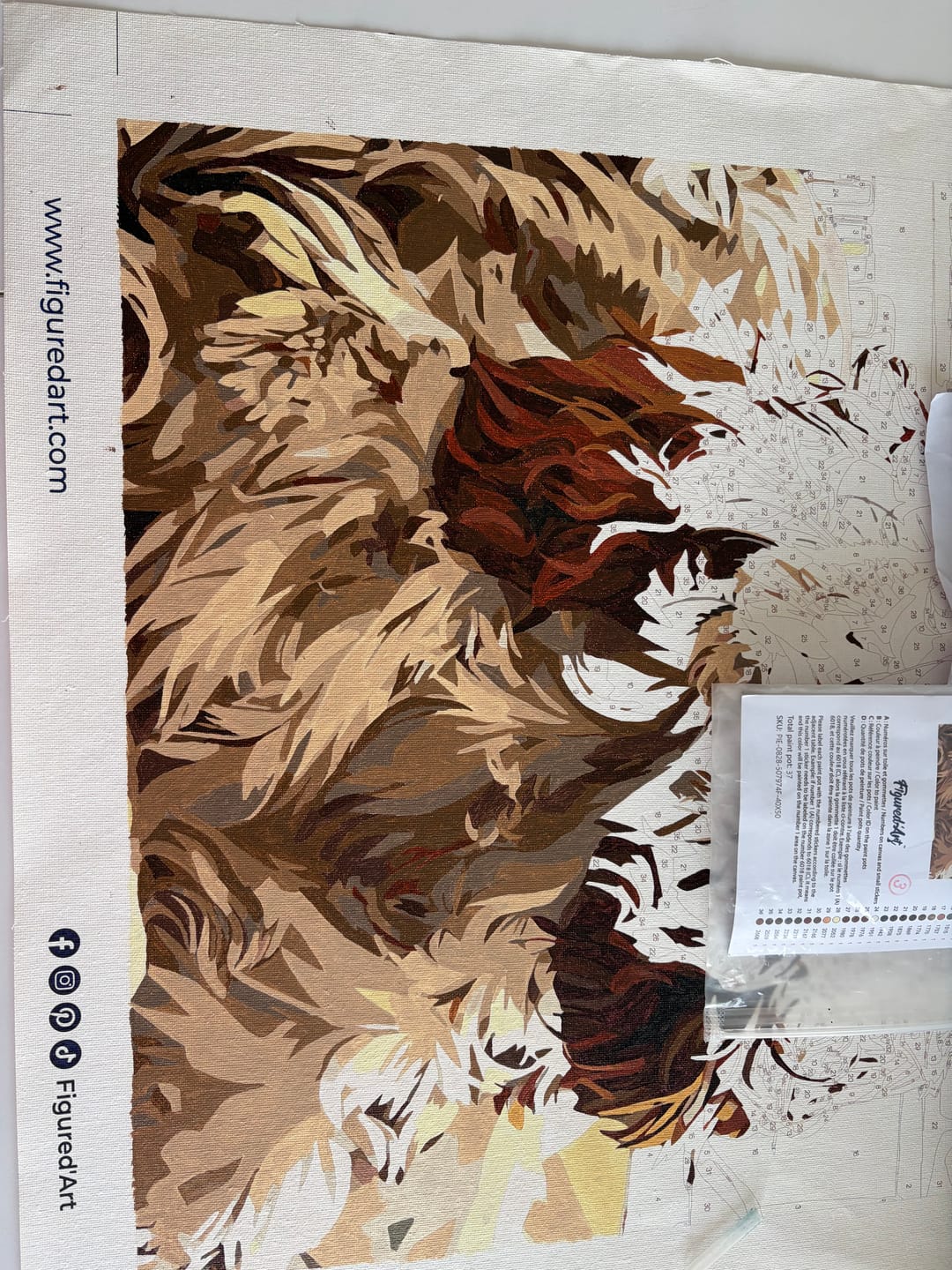 Customer photo review of Kit Personnalisé 40x50cm - 80x120cm Réalisation graphique GRATUITE