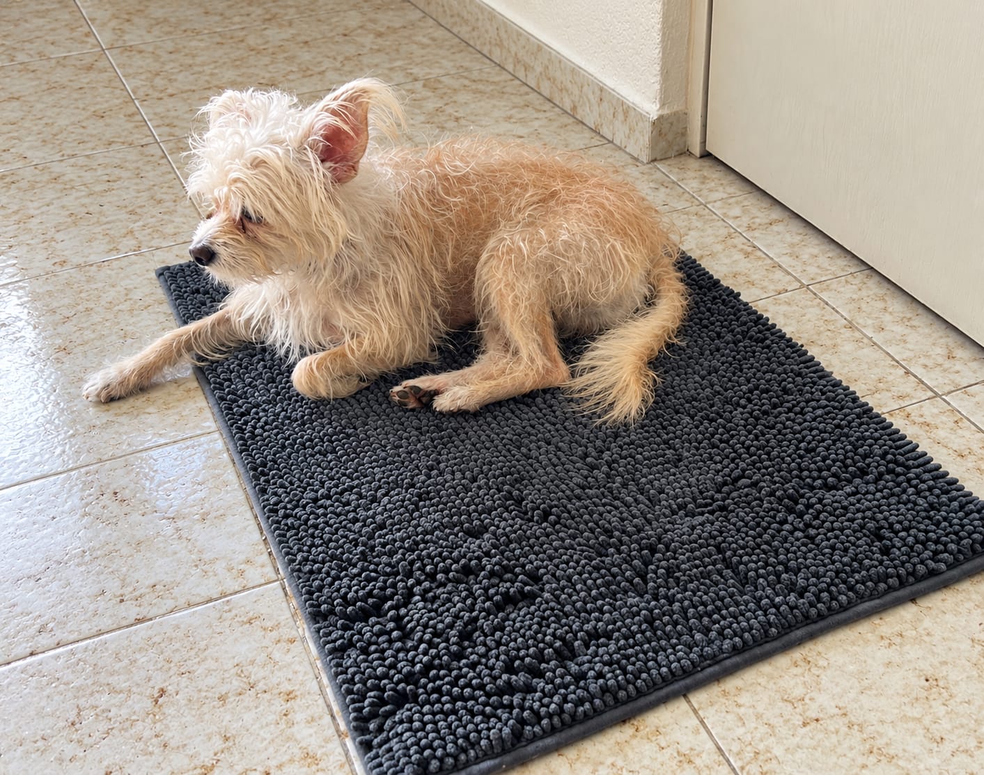 Customer photo review of Tapete Absorbente para Perros