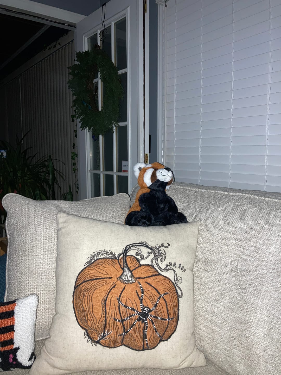 Customer photo review of The Dash Plush