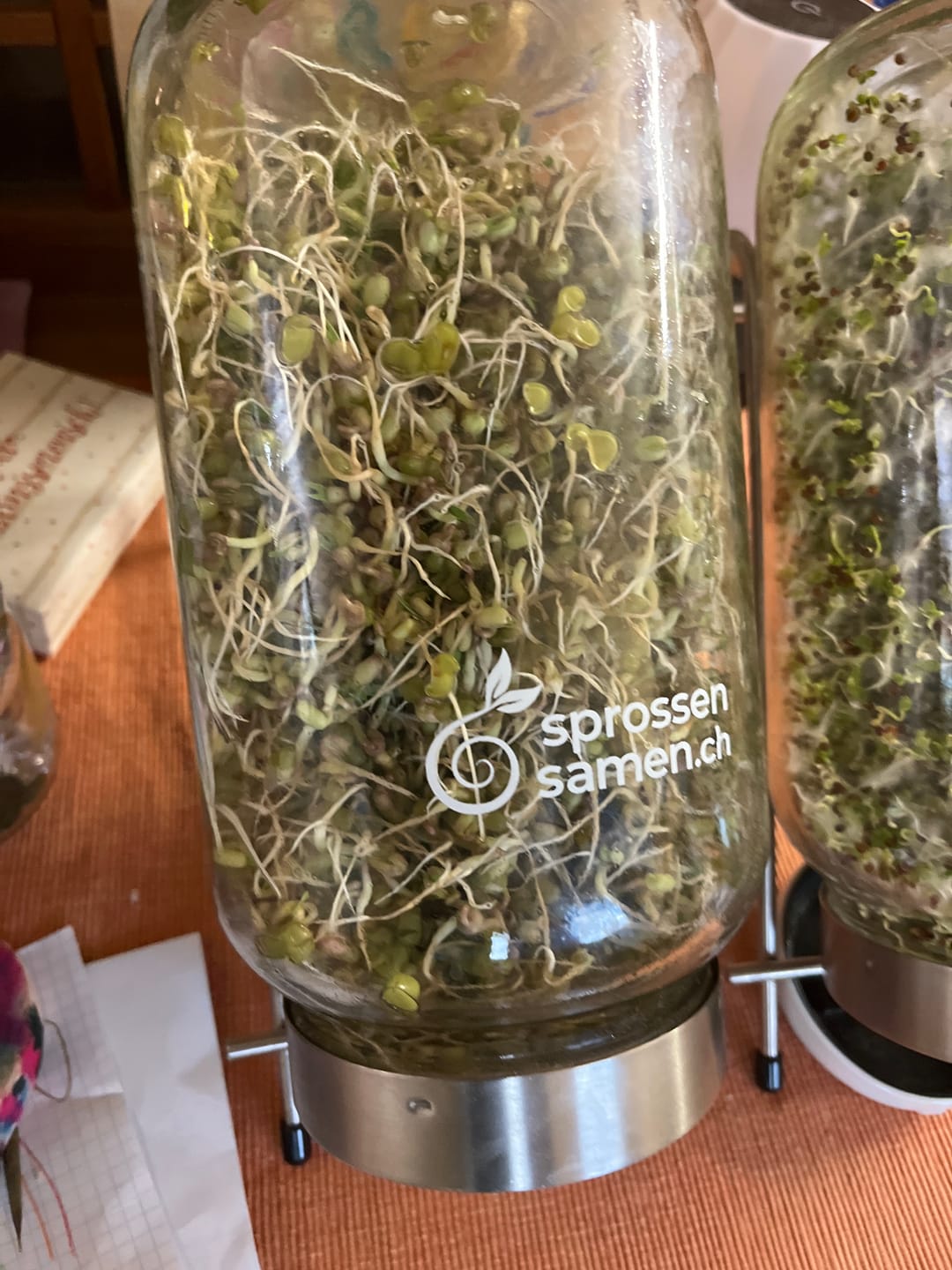 Customer photo review of Fitness-Mix Bio Samensprossen 250g