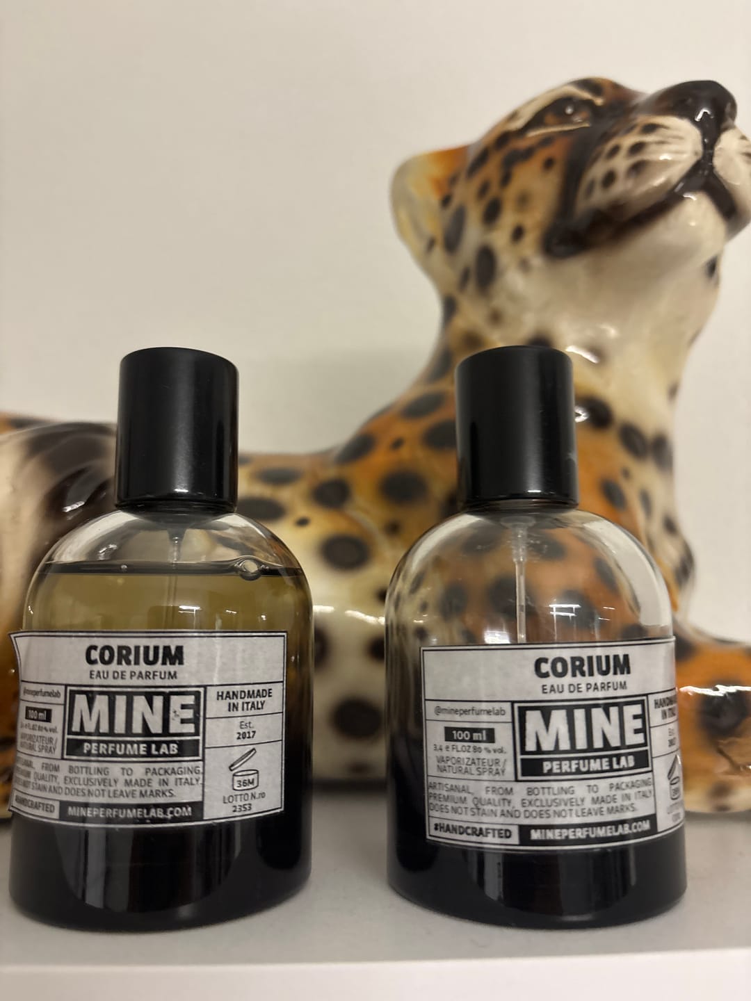 Customer photo review of CORIUM