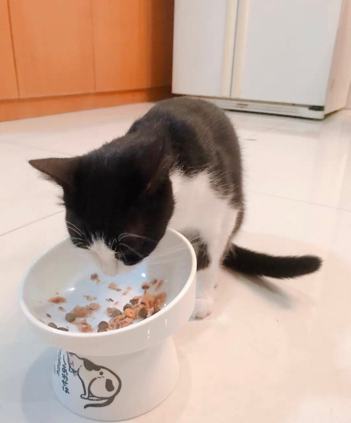 Customer photo review of Neko Raised Bowls
