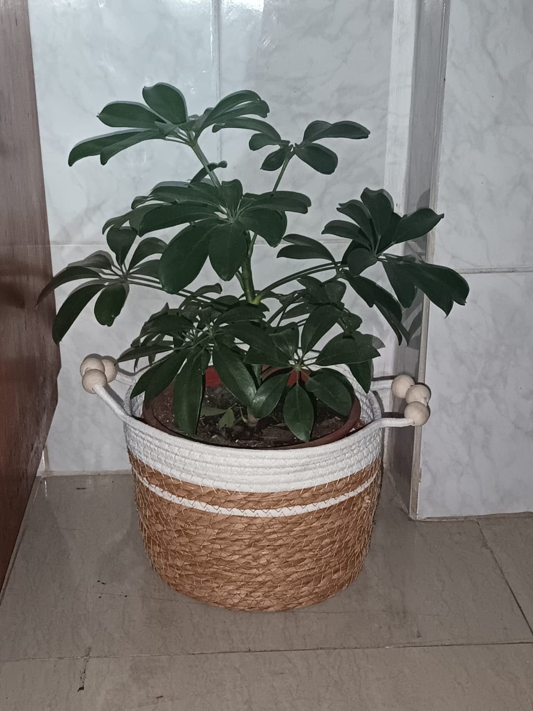 Customer photo review of Canasto Ropa Sucia 50cm Cesto Organizador Con Asa Juguetes Blanco Y Cafe