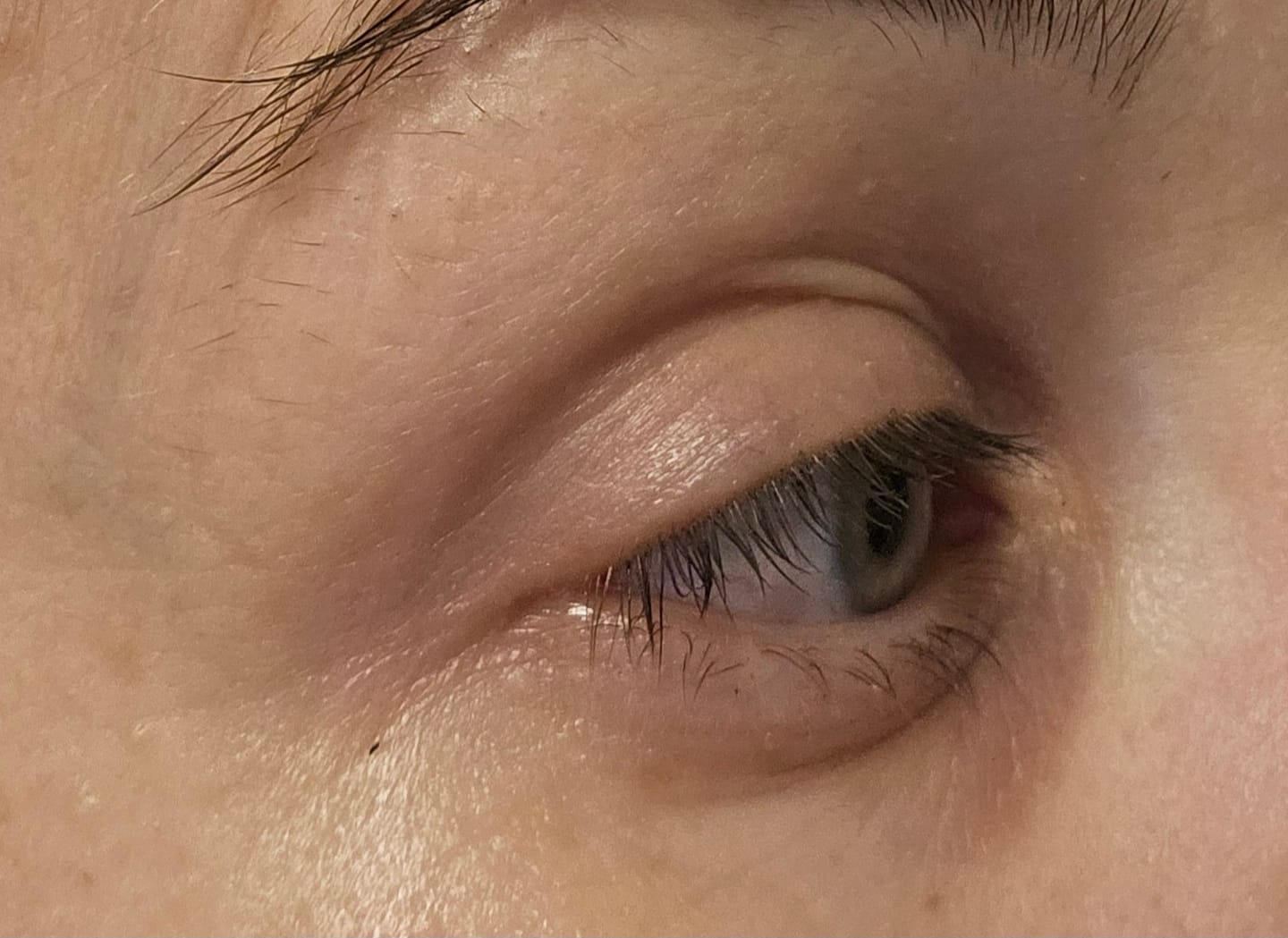 Customer photo review of Silky Sage Talivoide