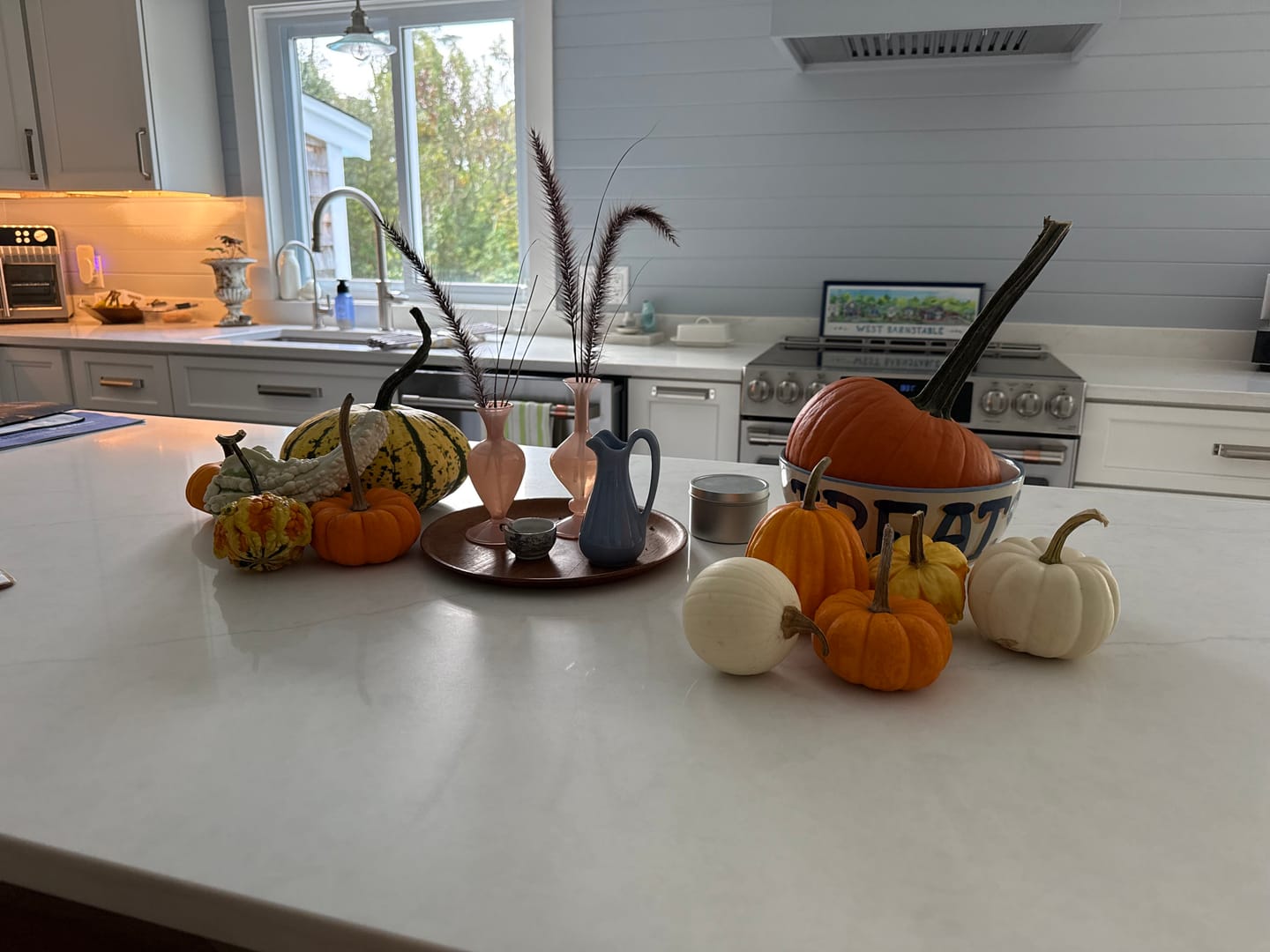 Customer photo review of Treats Serving Bowl