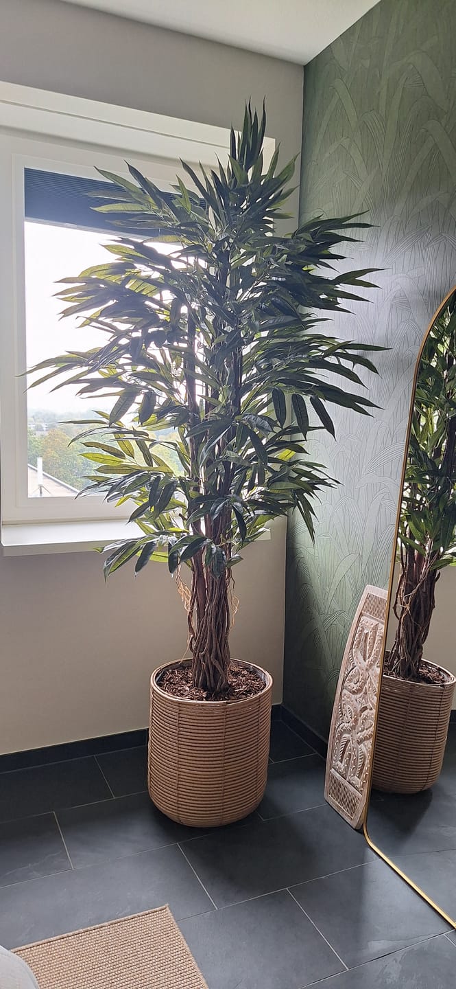 Customer photo review of Longifolia Kunstplant 180cm