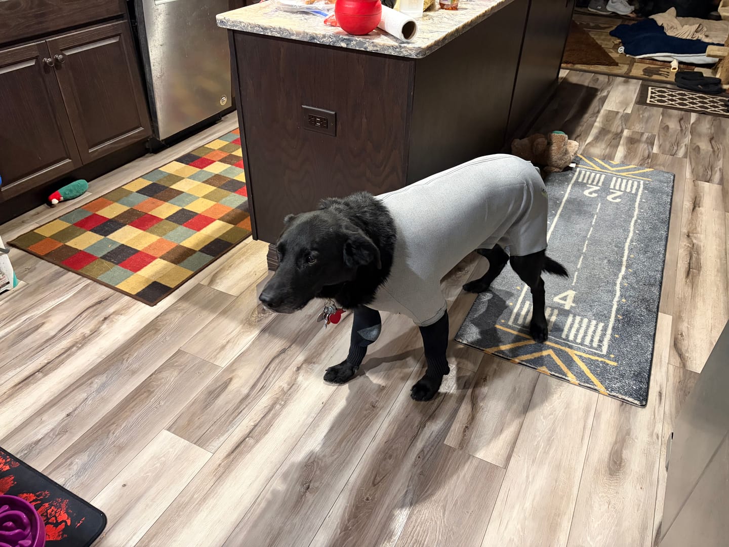 Customer photo review of Lick Sleeve® Recovery Suit