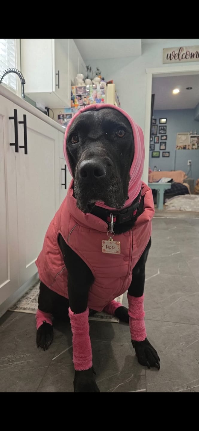 Customer photo review of WarmShield Water-Resistant Jacket - Dusty Pink