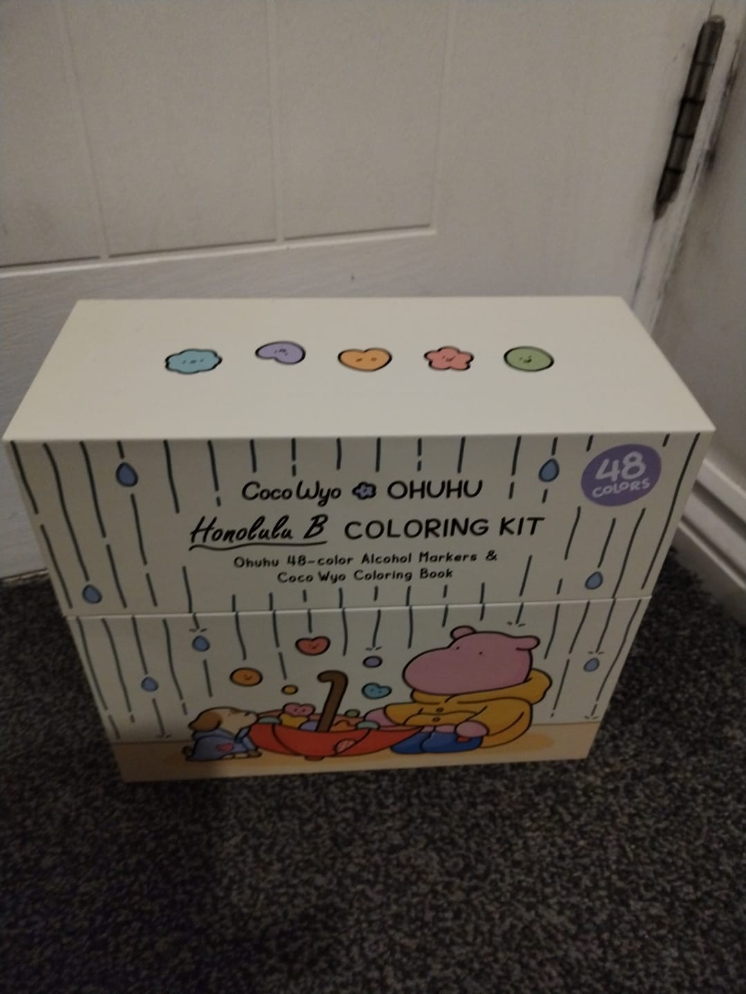 Customer photo review of Ohuhu x Coco Wyo Cozy Mood Coloring Kit, Honolulu B 48 Colors Alcohol Markers with Brush & Fine Dual Tips, Coloring Book with Mood Tracker Pages