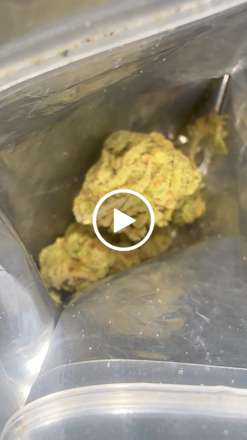 Customer video review of Grape God (Half-Price Wholesale Clearance)