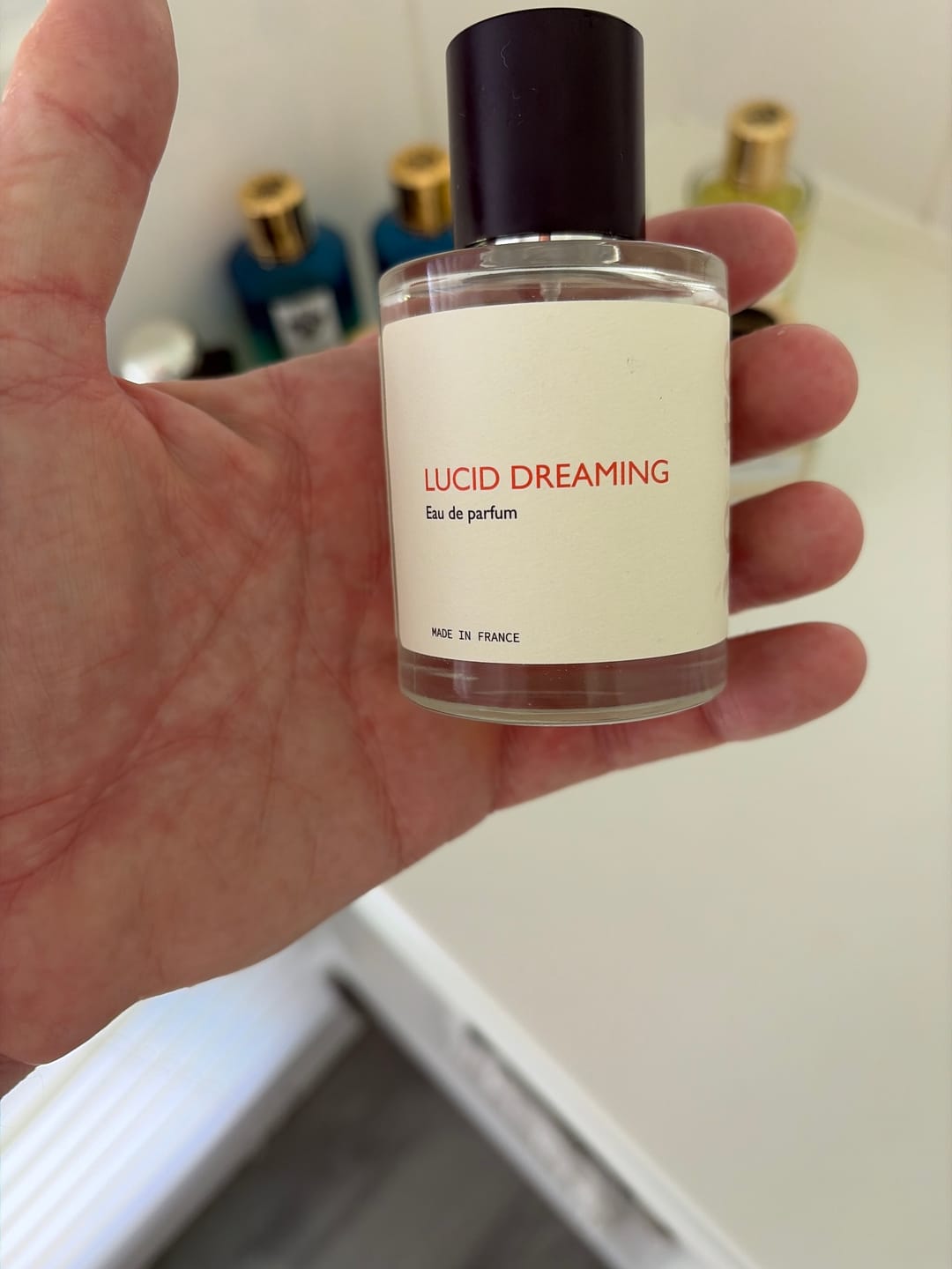 Customer photo review of Lucid Dreaming