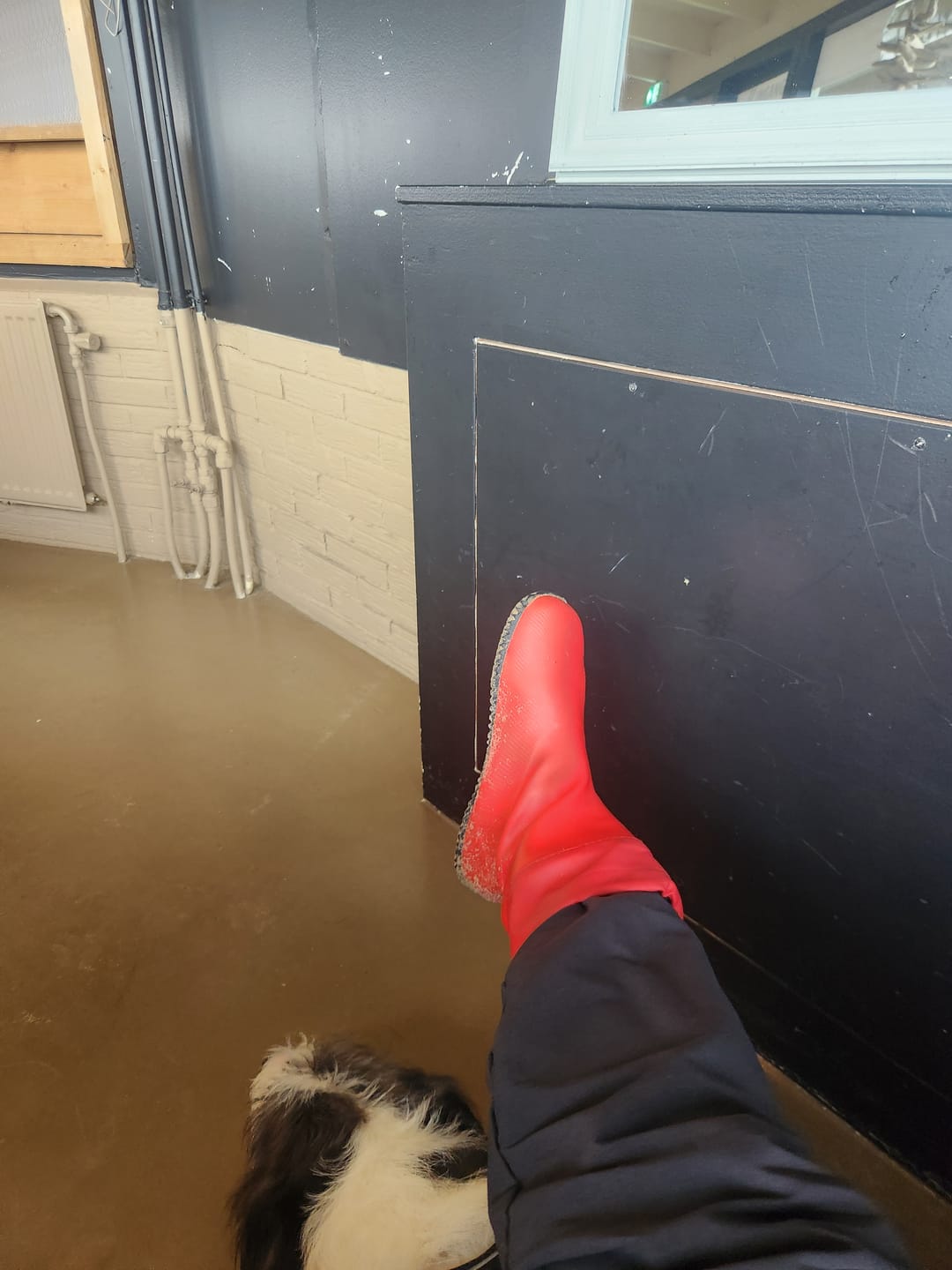 Customer photo review of Brisk Ⅰ - Barfuß-Gummistiefel