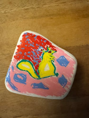 Customer photo review of Beschilder, verstop, volg | Mini Starterpakket + App | Happy Stones Maken in 20 minuten.
