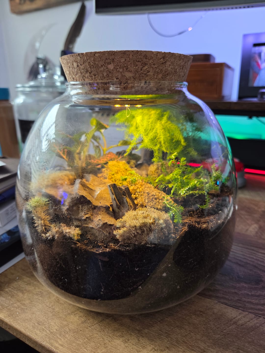 Customer photo review of Terrarium Tool Kit