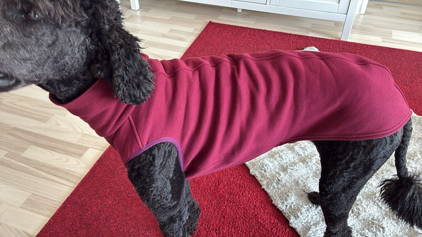 Customer photo review of Winnipeg Mini "Bordeaux"
