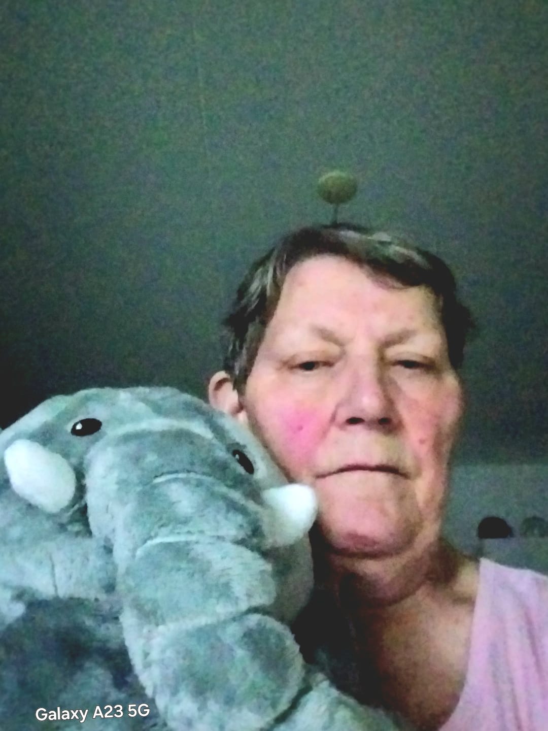 Customer photo review of Lotgenootje Olifant 2kg