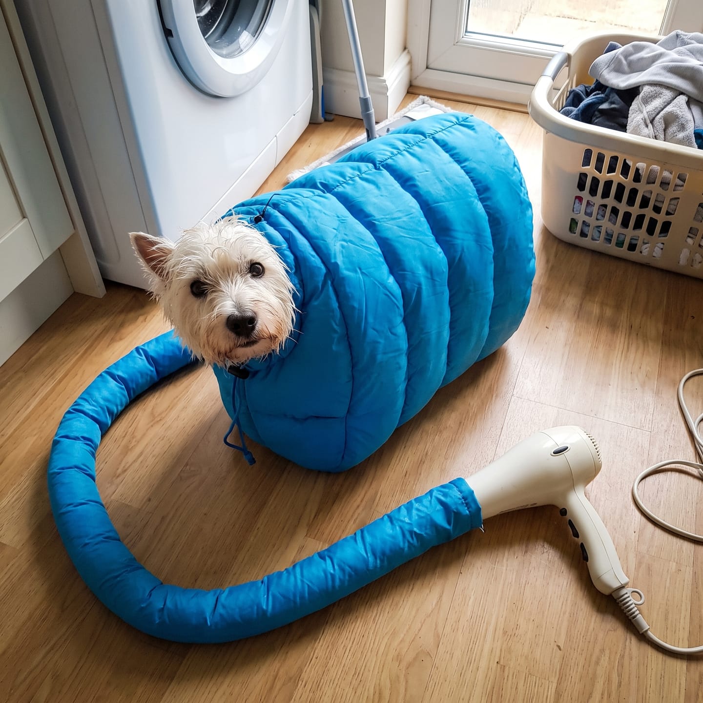 Customer photo review of Peludry™ – Bolsa de secado para perros