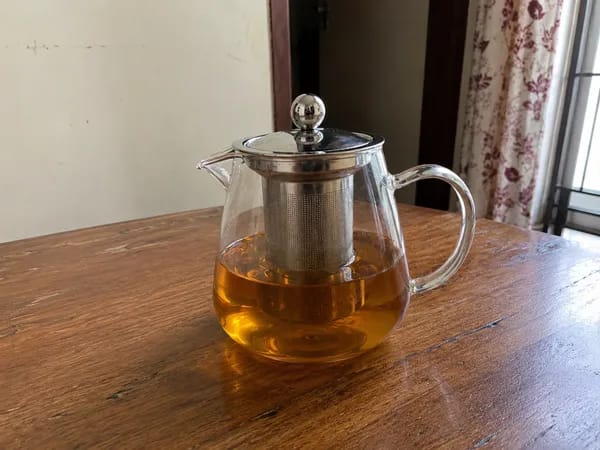 Customer photo review of Vatavaran Borosilicate Glass Teapot with Infuser