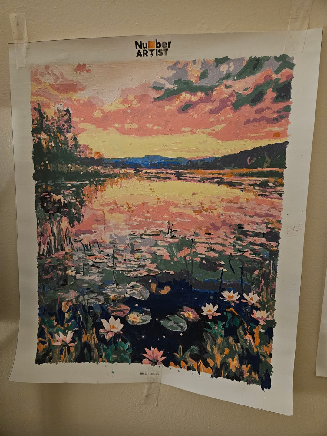 Customer photo review of Lily Sunset