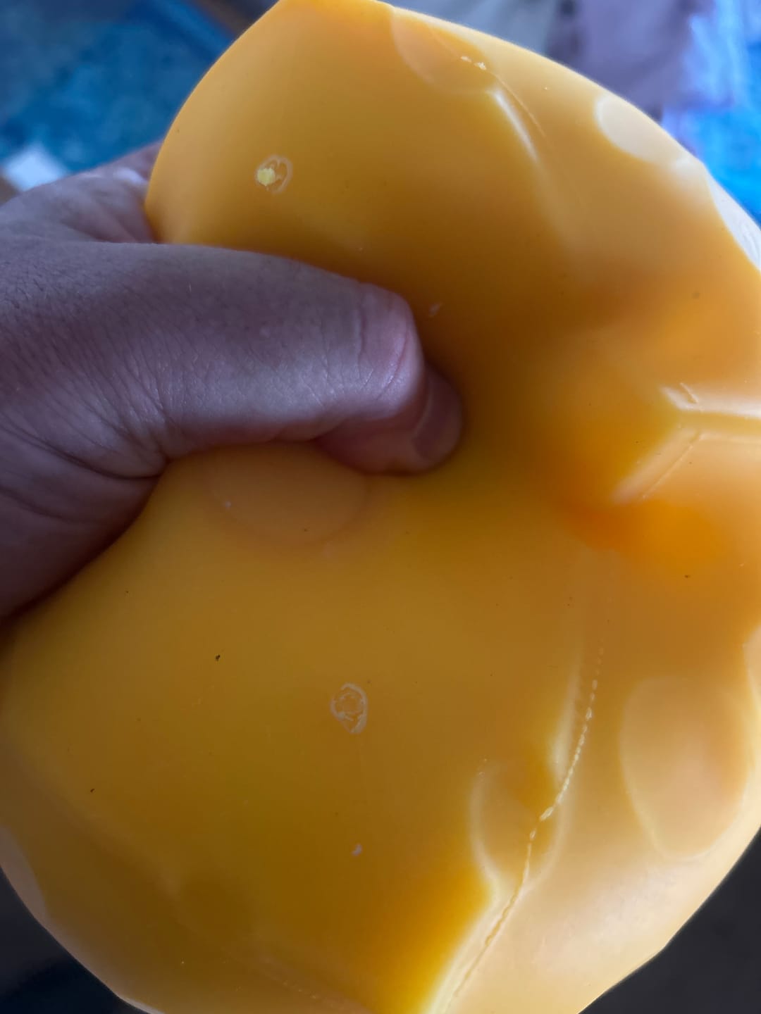 Customer photo review of Giant Squishy Cheese