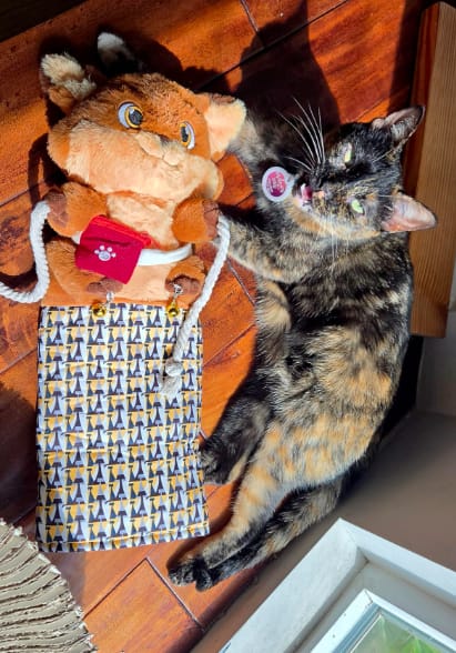 Customer photo review of Juguete Interactivo para Gatos con Cascabeles y Cuerdas