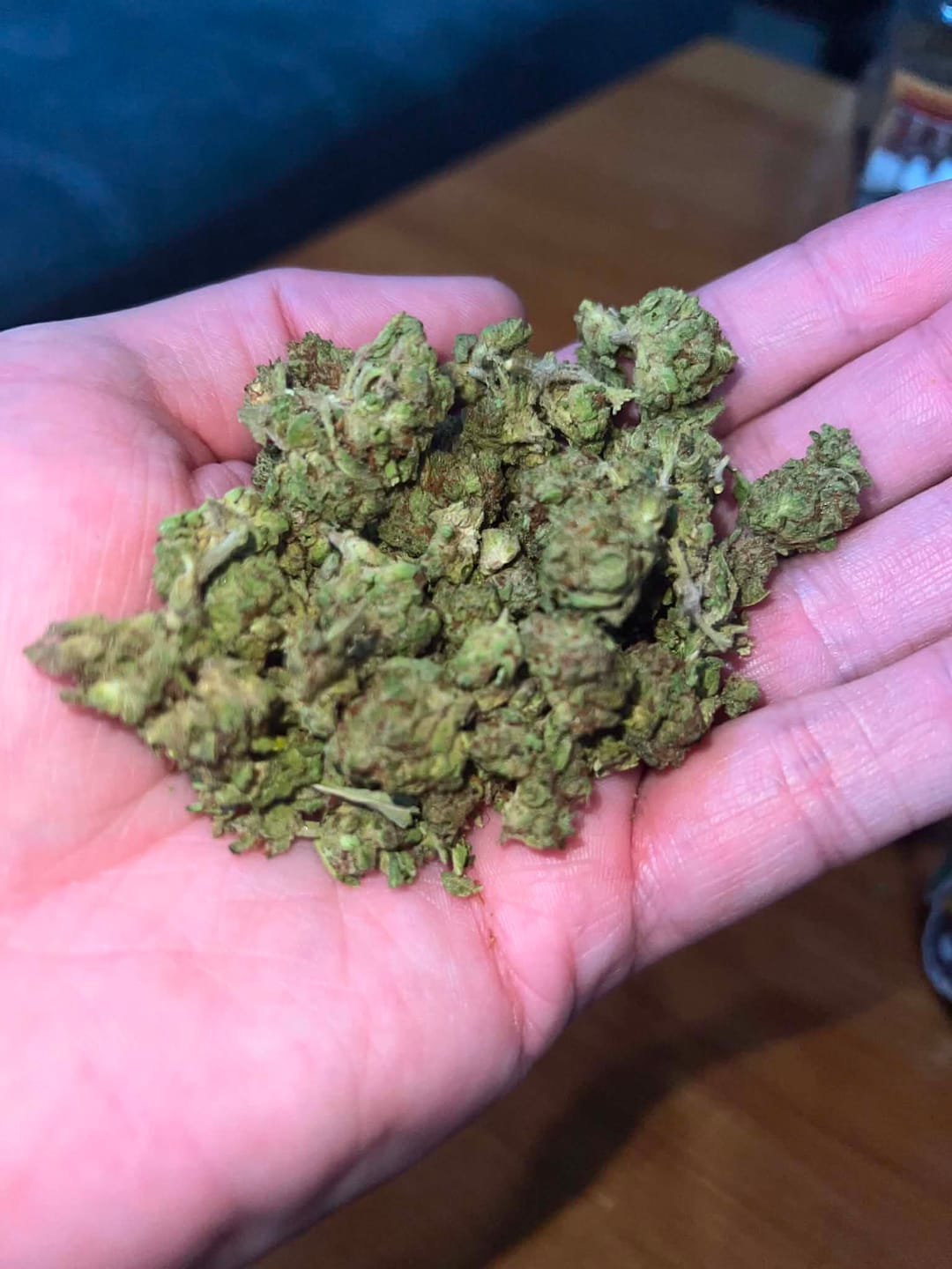 Customer photo review of Sunset Sherbet Minis - Bulk Minis - Indica