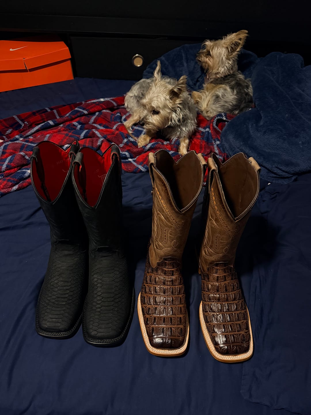 Customer photo review of Matte Black Python Leather Boots With Red Soles - Square Toe