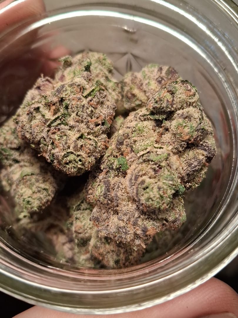Customer photo review of Blueberry THCA Flower (Exotic)