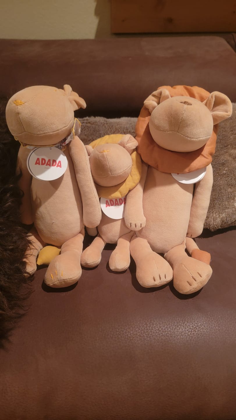 Customer photo review of THE LION FAMILY - PACK OF 3