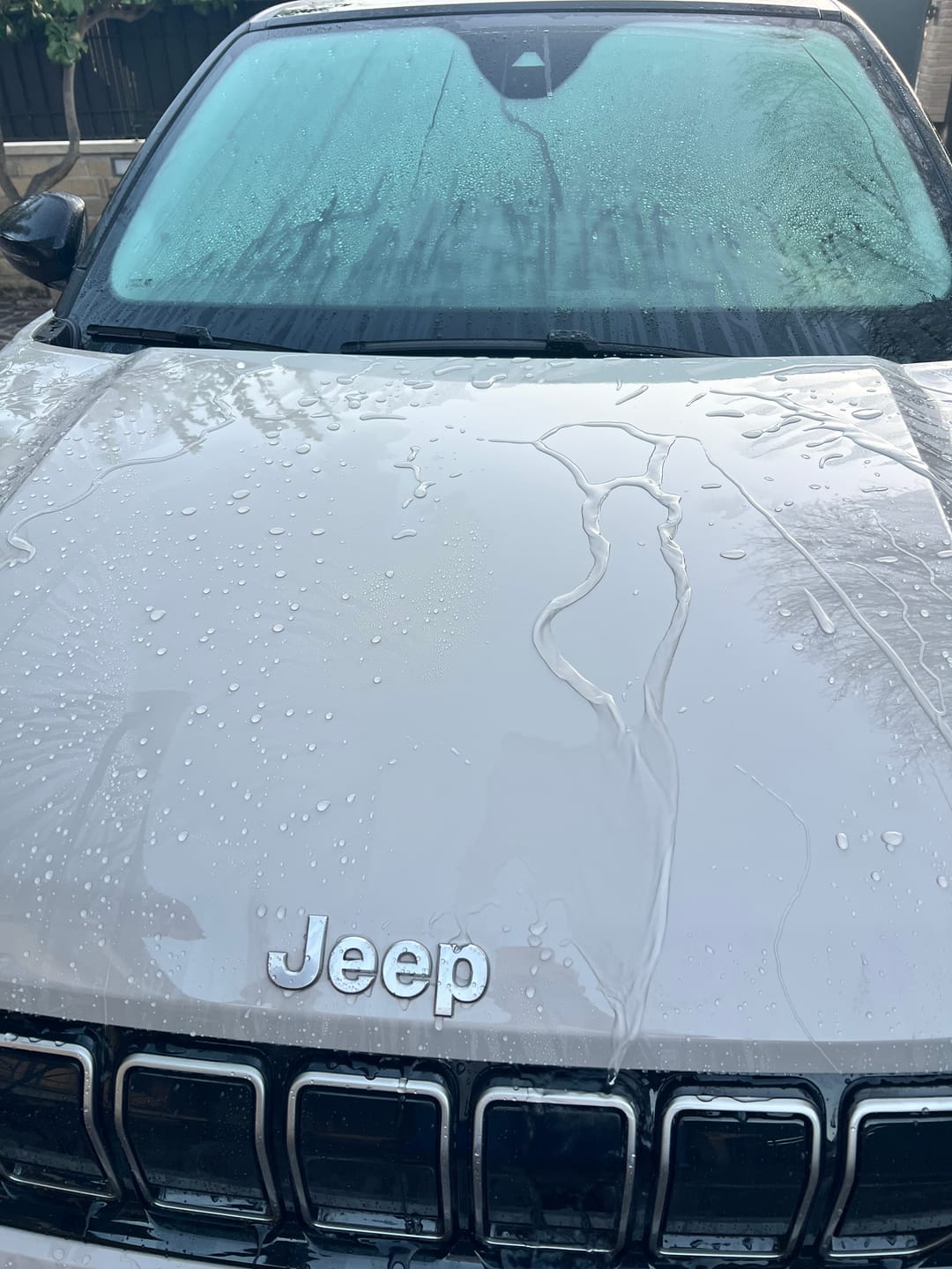 Customer photo review of S1 WASH&COAT DI INNOVACAR SHAMPOO NANOTECNOLOGICO AUTOLUCIDANTE PROTETTIVO E SIGILLANTE PER AUTO