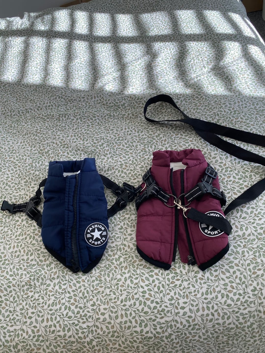 Customer photo review of DoggyKings™ 3 in 1 Jacket