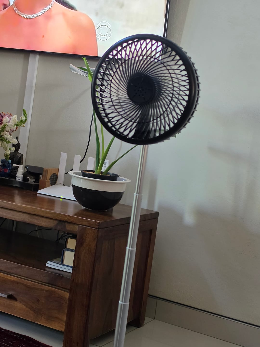 Customer photo review of Lumeo Smart Fan