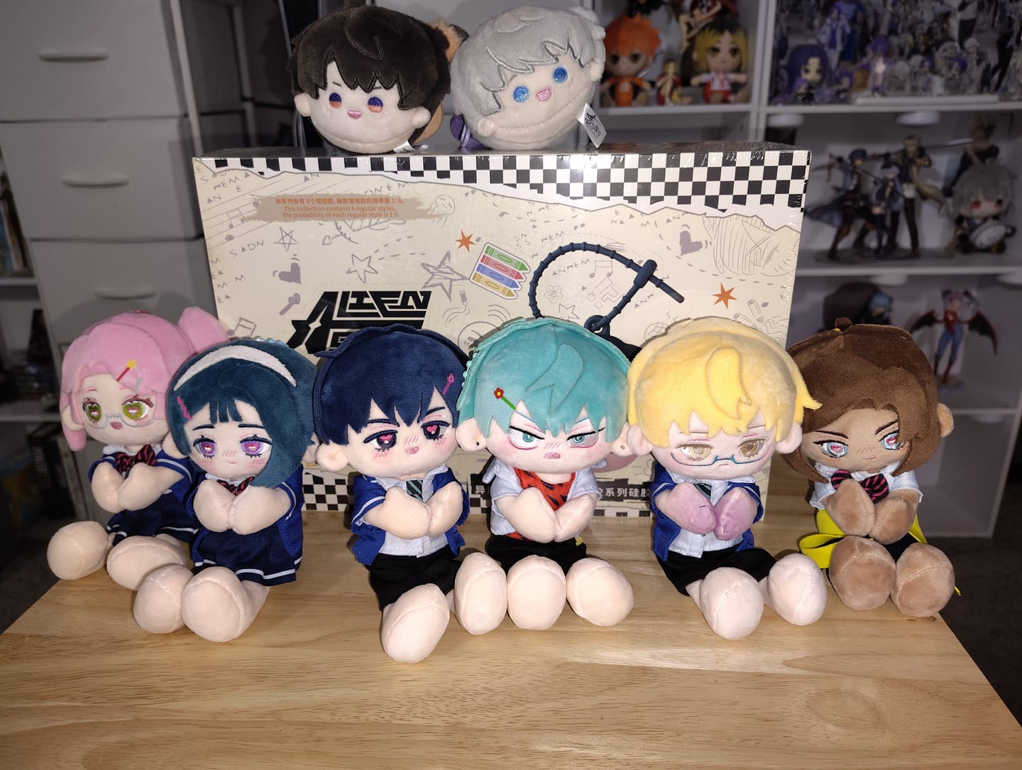 Customer photo review of Alien Stage AAHS Series Chuichui Style Plush Toy Blind Box
