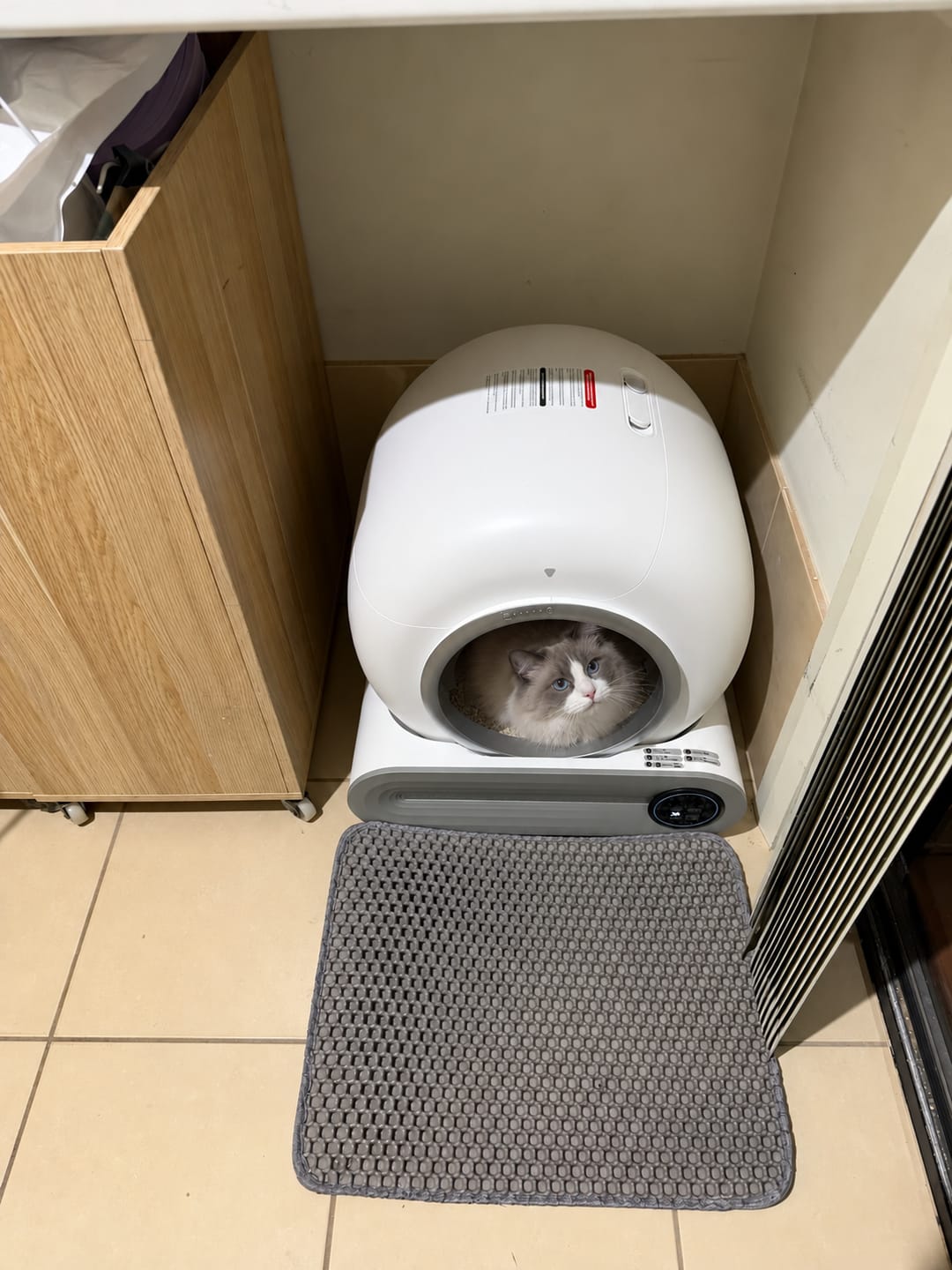 Customer photo review of Petbuds™ Pro 2026 Automatic Self-Cleaning Litter Box