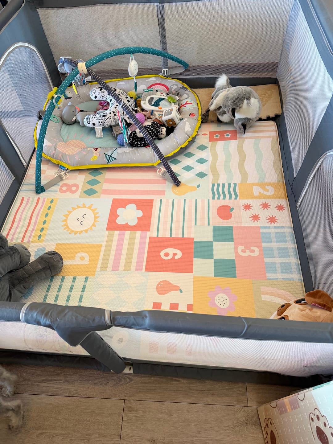Customer photo review of Jolly/ Hopscotch