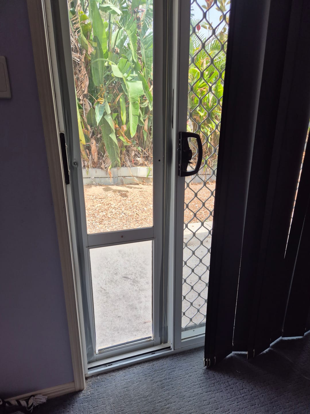 Customer photo review of Replacement Pet flap V3.0