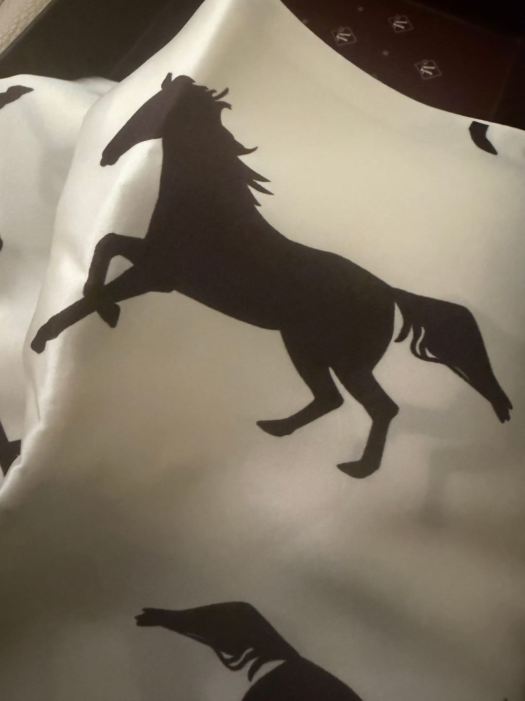 Customer photo review of Dream Rider Pure Silk Pillowcase