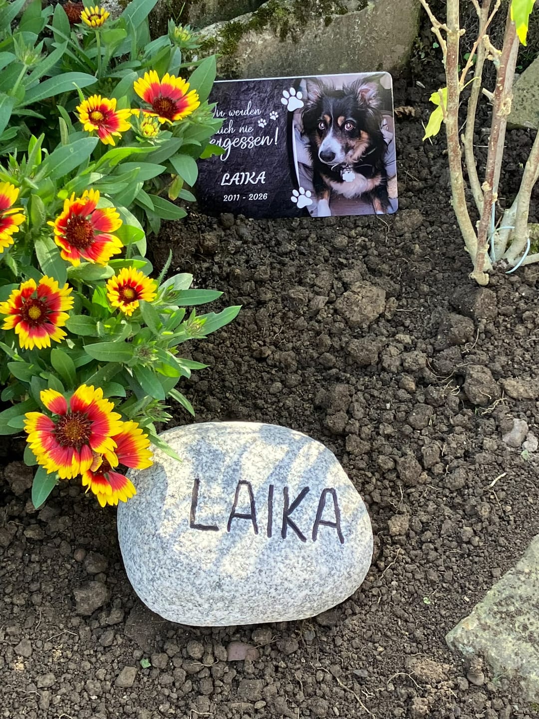 Customer photo review of Hunde Gedenktafel mit Foto & Spruch (UV- & Wetterfest)